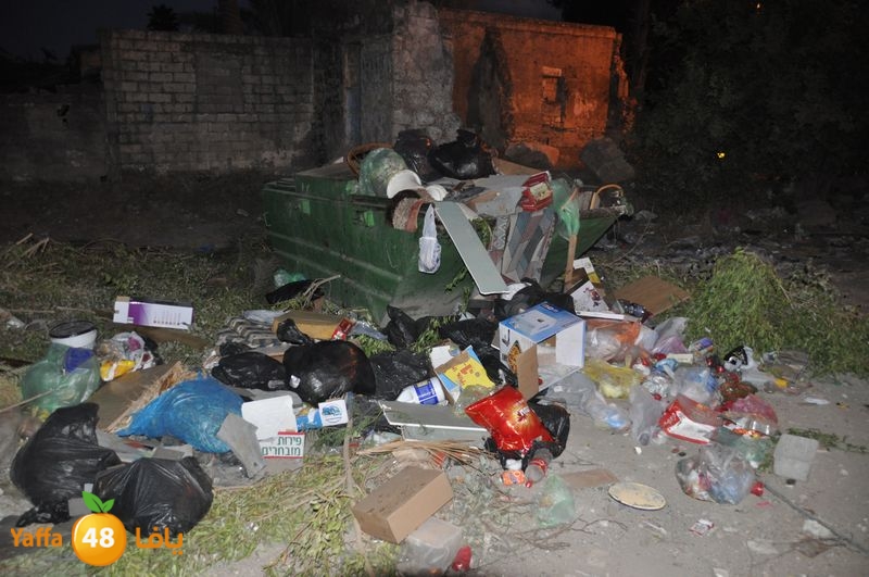 trash lud 907 (16).JPG